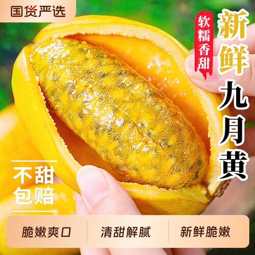 广西九月黄香甜多汁整箱顺丰