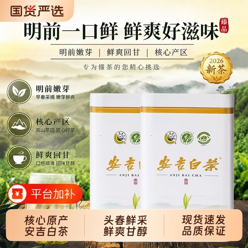 安吉白茶2026新茶明前特级安吉正宗高山绿茶送礼自饮口粮茶礼盒装
