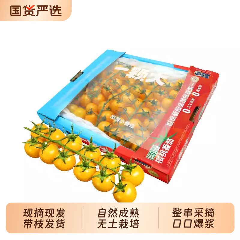 【一颗大】樱桃串番茄甄选礼盒新鲜自然熟老味道自然熟生吃小柿子