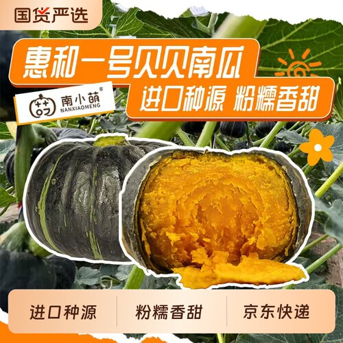 【惠和一号】南小萌惠和贝贝南瓜