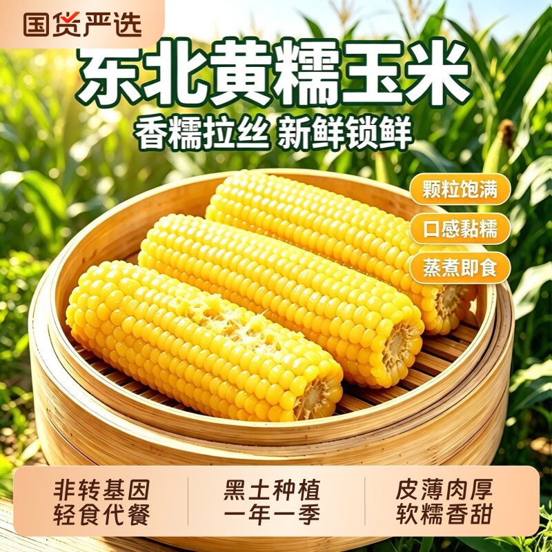 东北黄糯新货玉米甜糯黄玉米真空包装粘玉米新鲜早餐代餐粗粮香甜 包黄实拍商品图