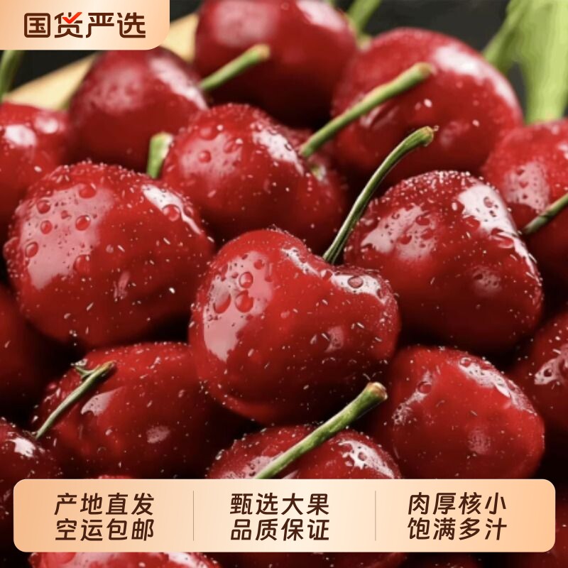 现摘大连美早大樱桃新鲜脆甜孕妇水果国产车厘子礼盒装送礼应当季