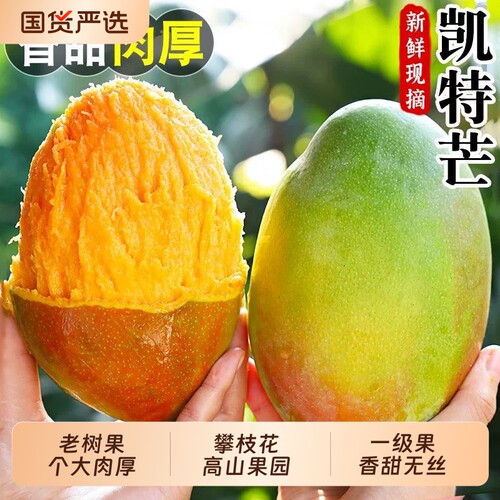 现摘攀枝花凯特芒果新鲜水果应季大芒果青皮孕妇当季香甜多汁包邮