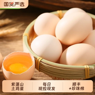 农家散养新鲜土鸡蛋 【40-50g*40枚】