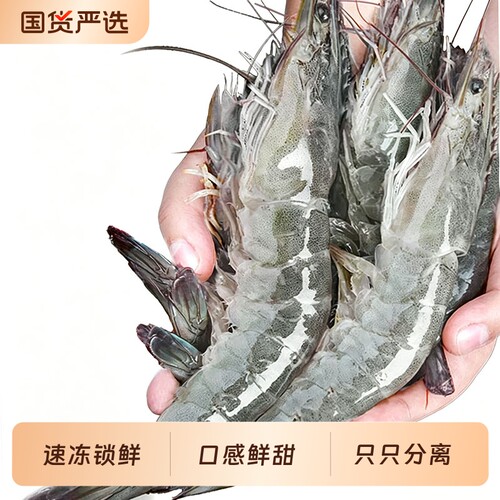 鲜活速冻大虾3040白虾只只分离单冻大虾活冻南美白对虾1.5kg*2盒