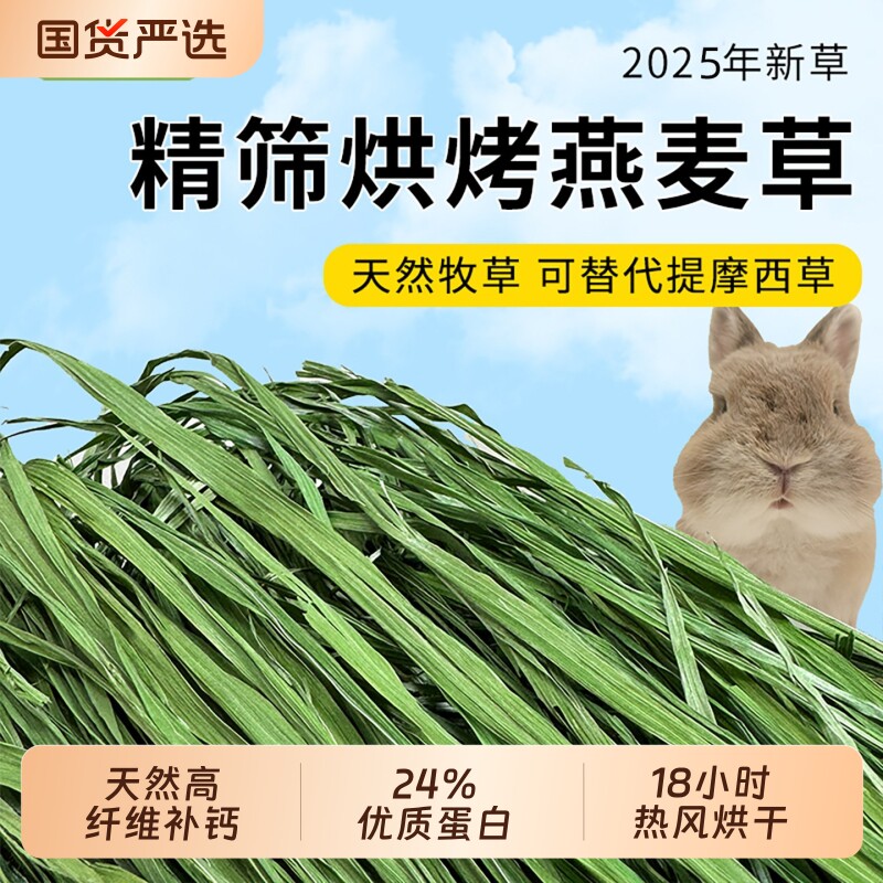 新批次2025烘烤燕麦草500g净重多叶嫩绿香绿高纤维包邮摩西牧草