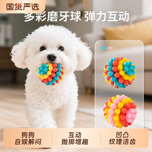 狗狗玩具球磨牙耐咬弹力互动训练解闷滚动洁齿宠物用品小型犬幼犬