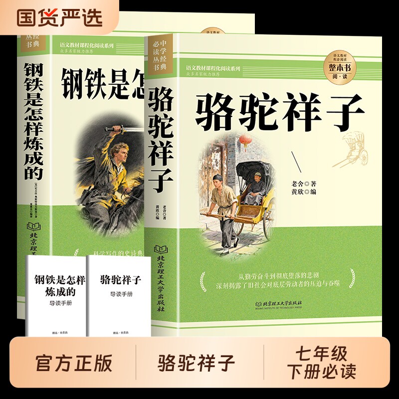 骆驼祥子和钢铁是怎样炼成的七年级下册必读正版课外书人教版海底两万