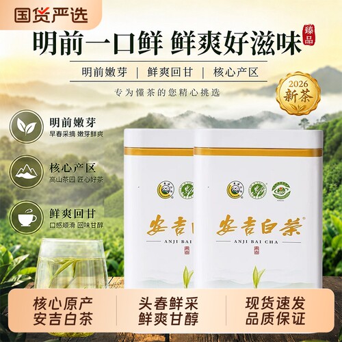 安吉白茶2026新茶明前特级安吉正宗高山绿茶送礼自饮口粮茶礼盒装