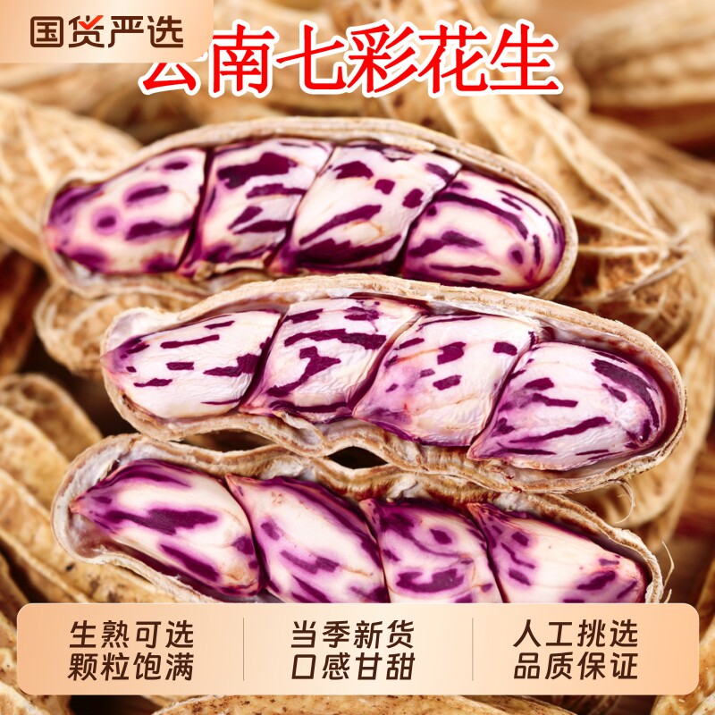 七彩花生米云南普洱特产带壳2025花生粒熟咸干五彩花生新鲜晒干