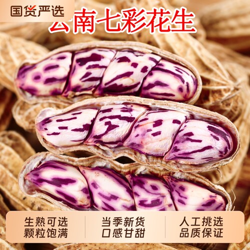 七彩花生米云南普洱特产带壳2025花生粒熟咸干五彩花生新鲜晒干