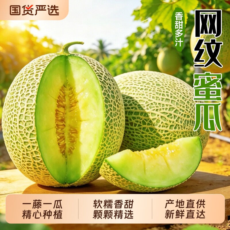 冰淇淋网纹蜜瓜新鲜水果当季现摘整箱玫珑蜜瓜静冈哈密瓜甜瓜包邮