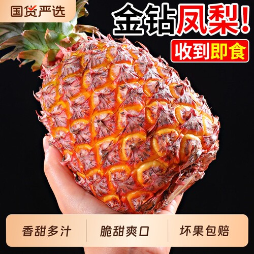 海南金钻凤梨~香甜多汁~营养丰富
