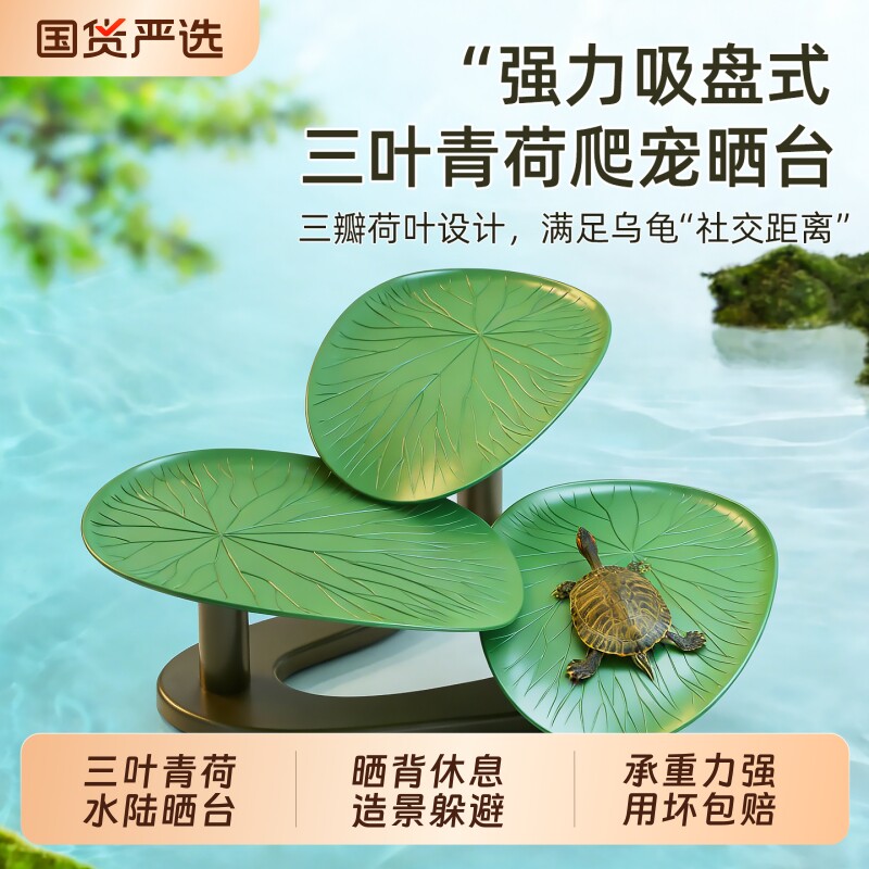 乌龟缸家用带晒台巴西龟草龟专用龟箱鱼缸造景用乌龟休息晒背爬台
