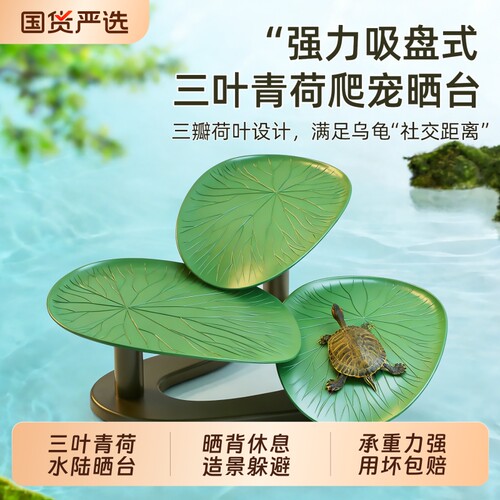 乌龟缸家用带晒台巴西龟草龟专用龟箱鱼缸造景用乌龟休息晒背爬台