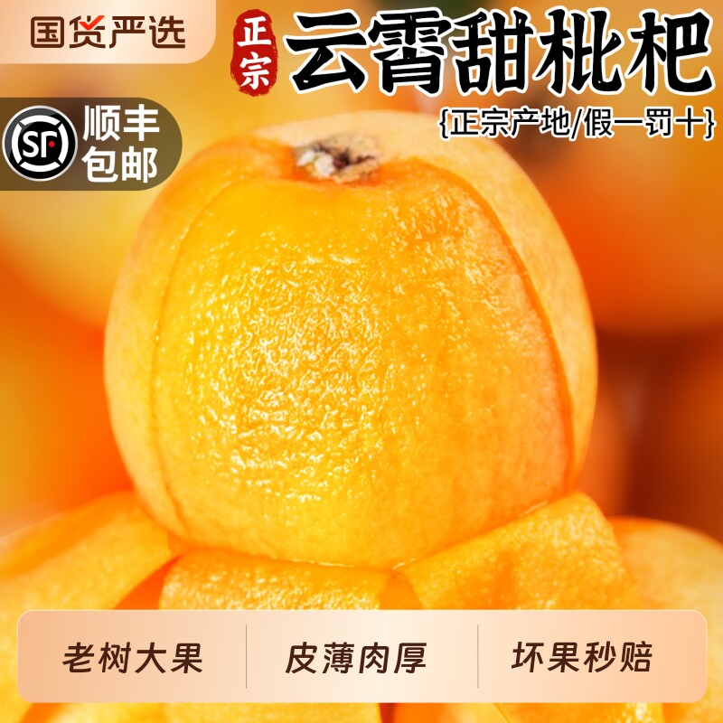 顺丰礼盒 正宗云霄枇杷鲜果5斤大果当季新鲜现摘树上熟水果琵琶甜