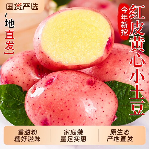 土豆云南高山现挖红皮黄心农家老品种新鲜粉糯马铃薯洋芋现挖现发