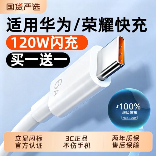 【立显闪标买一送一】120W快充