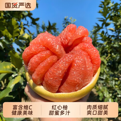 海南红心柚子肉质细腻 头茬鲜果 现摘现发 肉厚 甜蜜新鲜应季水果