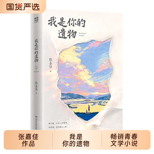 2026全新小说我是你的遗物张嘉佳作品时隔5年写作风格升维突破之作如果永远无法相见那么一字一句都是青春文学畅销榜博集旅行团