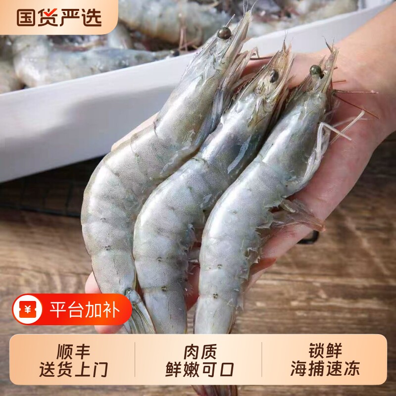 海捕鲜活速冻青岛大虾基围虾对虾盐冻白虾海鲜水产批发一整箱