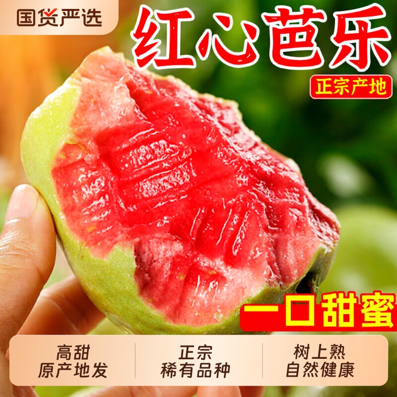 严选福建漳州红心芭乐新鲜水果包邮整箱应季鲜果番石榴软糯热带