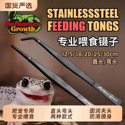 爬宠镊子守宫蜥蜴昆虫乌龟角蛙清理粪便蜘蛛爬虫喂食夹子弯头直头