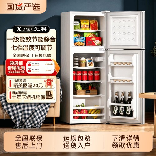 先科一级能效迷你小冰箱冷冻