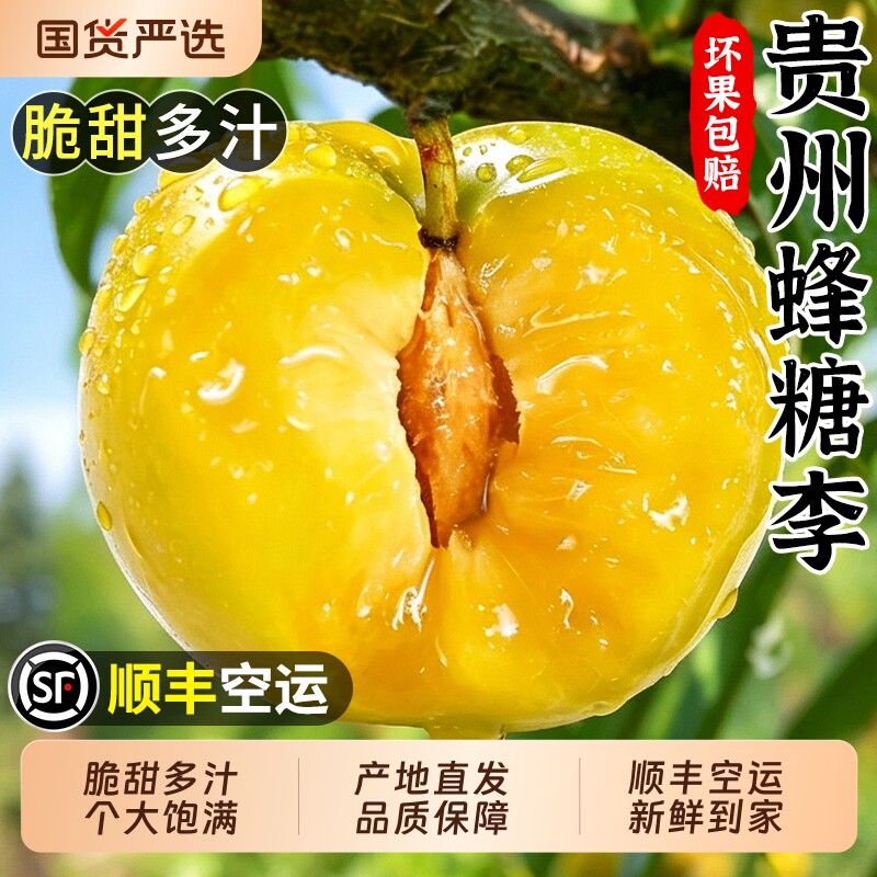 正宗贵州六马蜂糖李顺丰新鲜水果当季李子脆甜蜂蜜脱骨李现摘现发