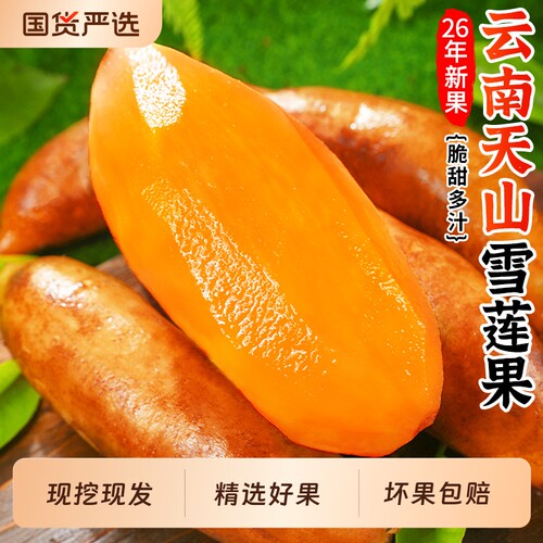 天山雪莲果，2026新果，脆甜多汁