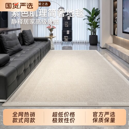 客厅地毯2026新款意式极简素色