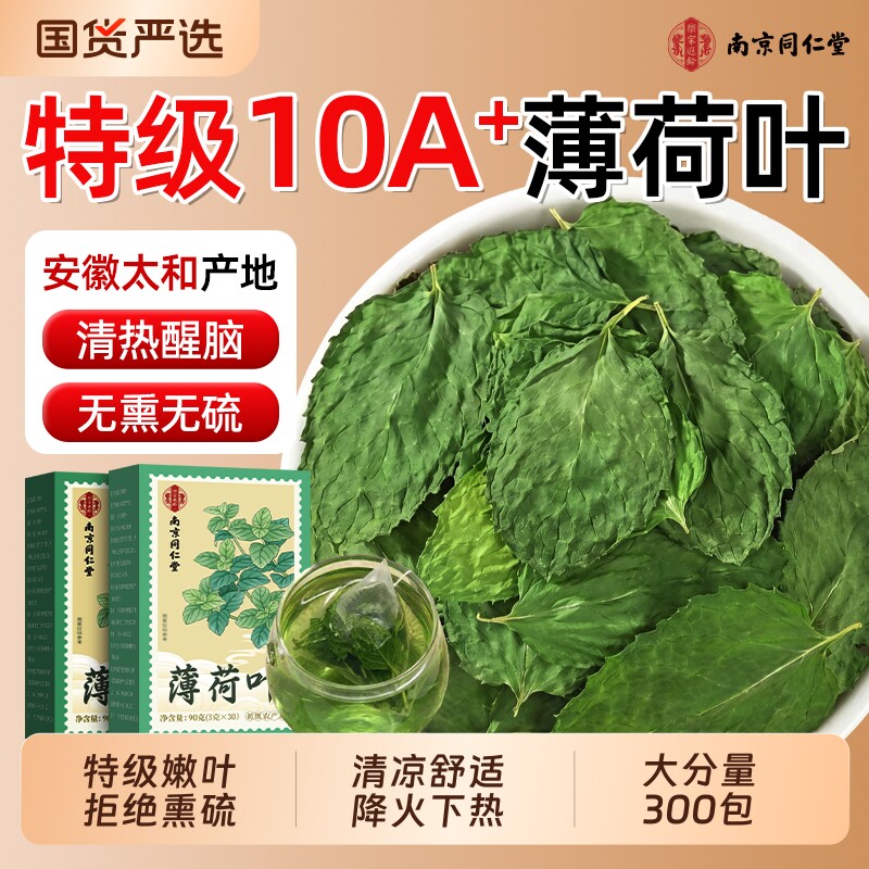 同仁堂新鲜薄荷叶干食用清热降火解去泡茶中药材下火养肝茶包源头