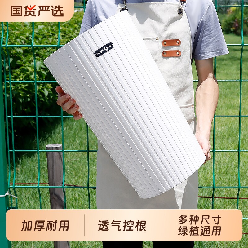新款欧式轻奢高筒大号塑料花盆图片