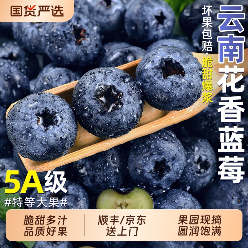 蓝莓鲜果新鲜水果云南l25高山花香怡颗大果产地直发整箱现摘脆甜