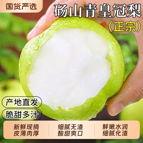 正宗砀山梨子！酥脆爽口汁多味甜