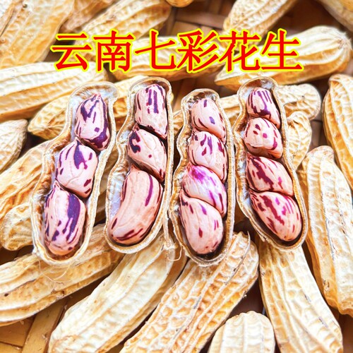 云鲜赞七彩花生水煮咸干花生米云南带壳生熟新鲜零食健康特色晒干