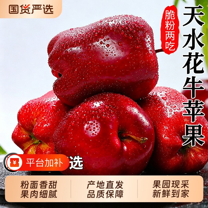 甘肃天水花牛苹果新鲜水果正宗平果蛇果官方粉面应当季现摘包邮