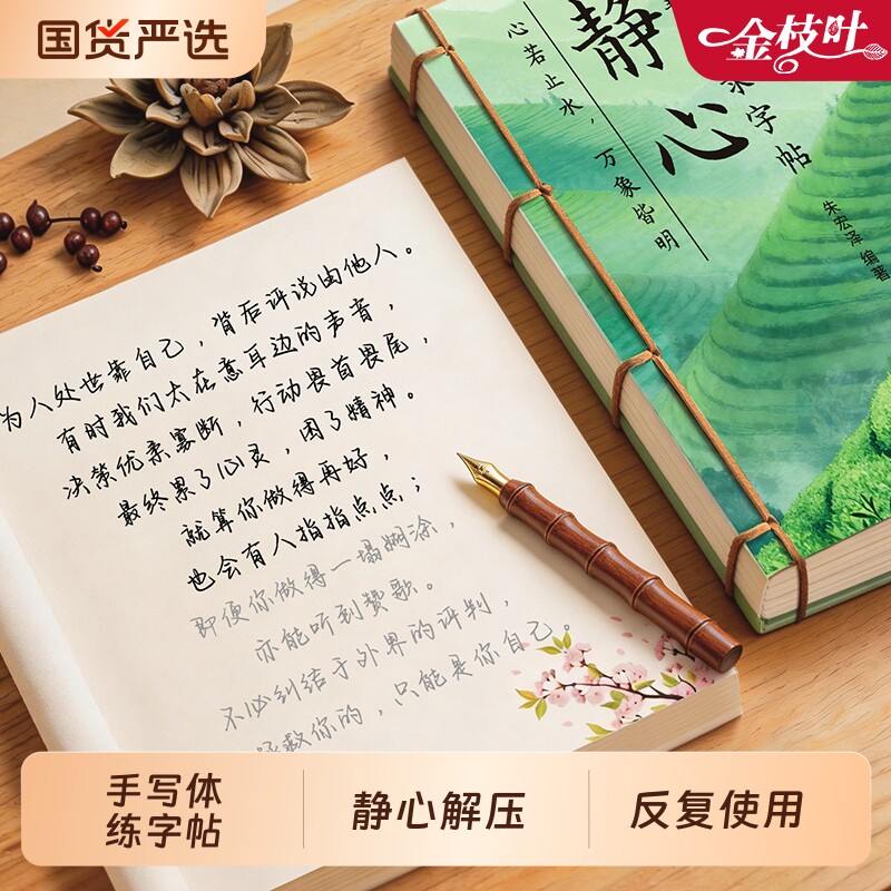 女士静心手抄字帖成人练字女生字体漂亮手写体练字帖行楷钢笔反复使用专用行书速成大人练字本硬笔书法练习时光语录解压治愈智慧