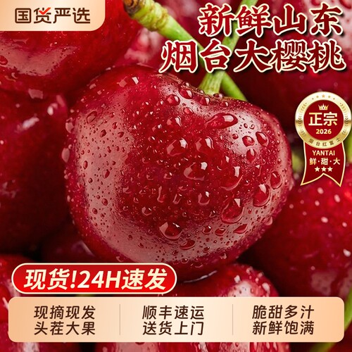 【5J山东樱桃特惠】脆甜多汁顺丰