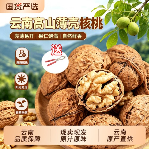 有机核桃原味502g健康新鲜