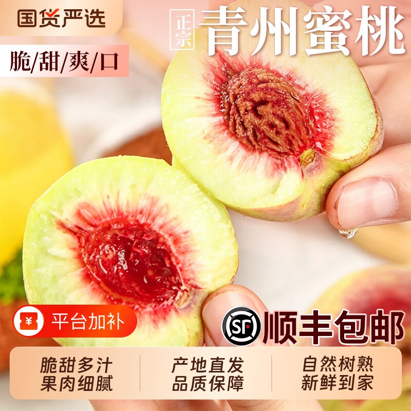 正宗山东青州蜜桃顺丰脆甜桃子新鲜水果应当季现摘水蜜桃冬桃整箱