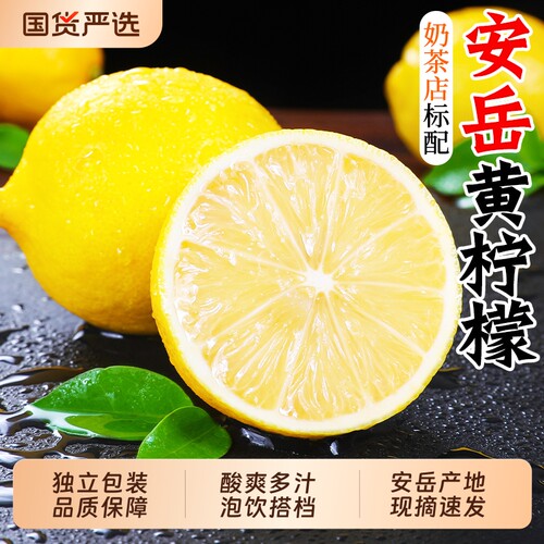 奶茶店专用！泡饮搭档黄柠檬5斤