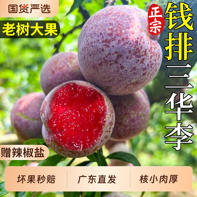 广东钱排三华李新鲜水果李子红心应季现摘大果脱骨蜂糖脆当季整箱