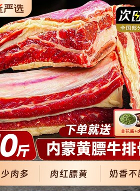 内蒙古黄膘牛排原切整根新鲜带肉牛肋排条生鲜牛仔骨牛肉冷冻整块