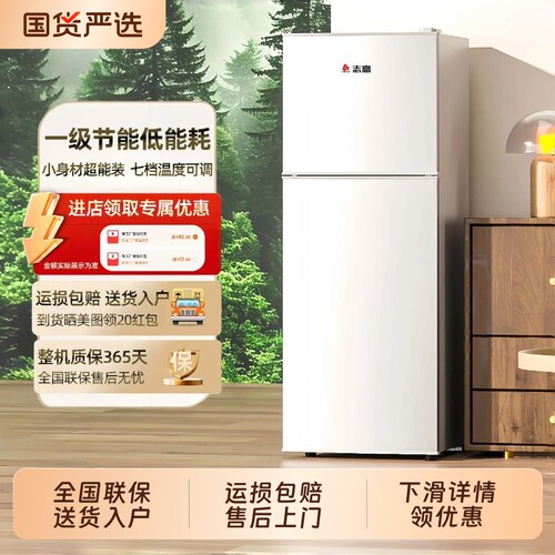 志高小冰箱一级能效双门电冰箱