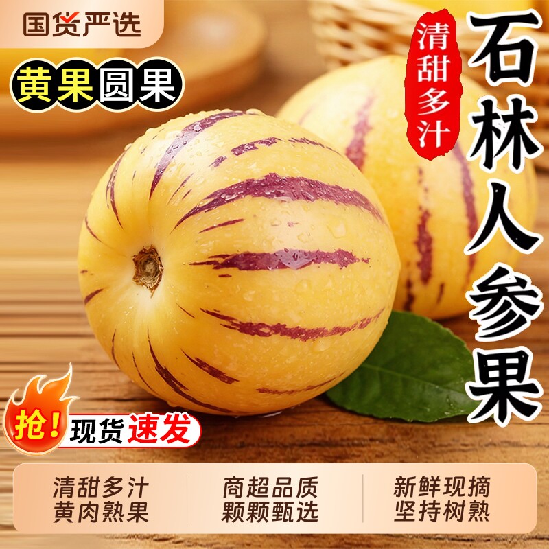 人参果新鲜水果云南石林黄心圆果树上熟七彩人叁果整箱包邮回购