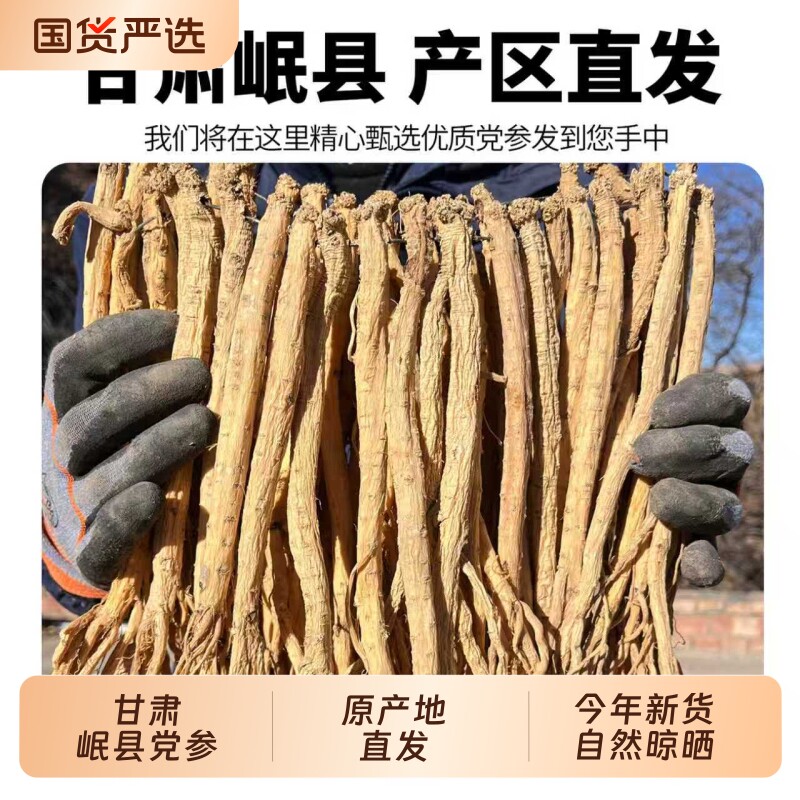 党参整条甘肃岷县原产地中药材党参条新货无硫大条