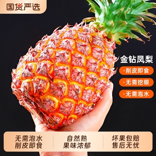 海南金钻凤梨新鲜水果树上熟芒果凤梨香水菠萝大果无眼整箱包邮