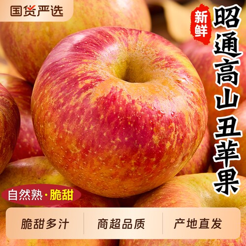 产地直发才正宗昭通糖心丑苹果