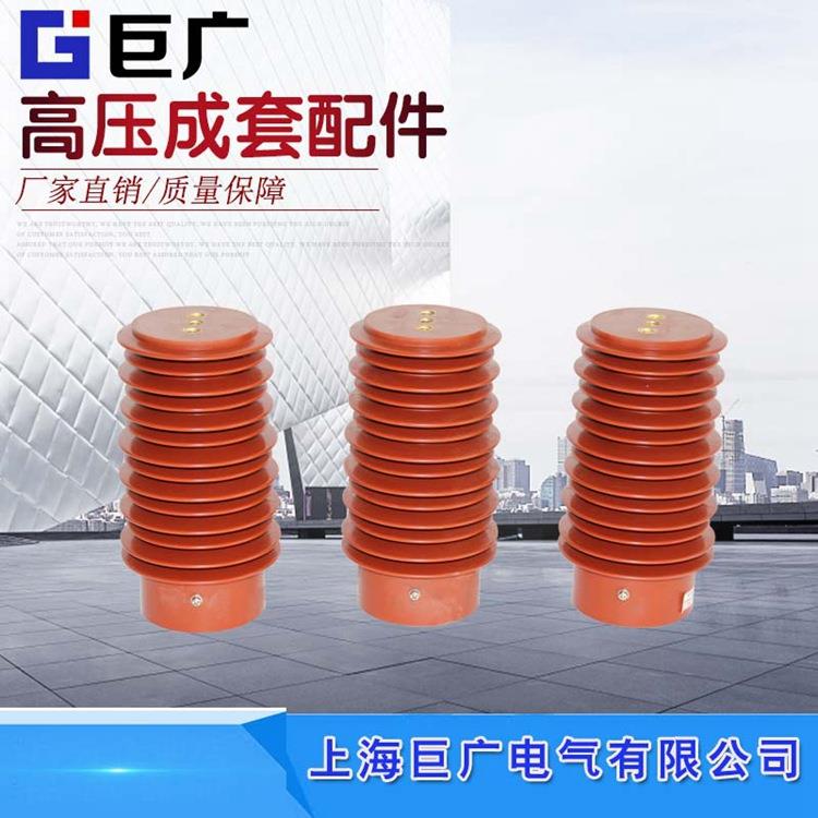 CG5-24Q/65*23024KV传感器20KV带显显示传感器CG5-24Q/110*210